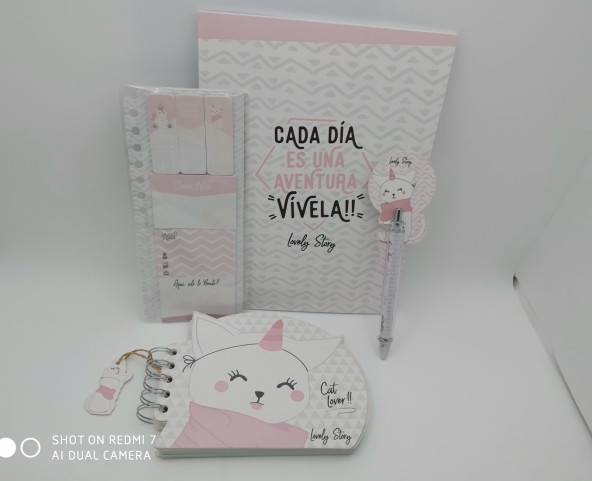 Set papelería rosa Cat lover -it