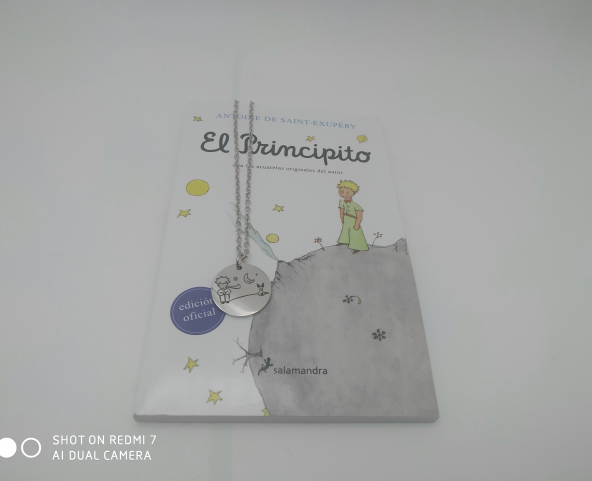 Libro"el Principito"con las acuarelas originales del autor+ colgante acero grabado Principito, zorro y Luna